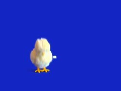Easter Chick Wind-Up - HD 1080 Stock Footage