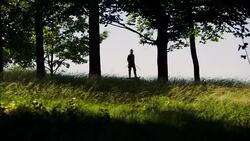 Gettysburg Statue Stock Footage