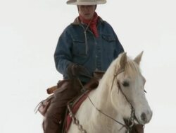 TU Cowgirl on horseback walking through the snow as a dog's following along / Shell, Wyoming, United States Stock Footage