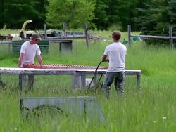 MS SLO MO PAN Shot of Young farmers moves chicken tractor/coop at organic farm with dog at organic farm / Chatham, Michigan, United States Stock Footage