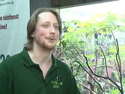 VOICED: A new rainforest -- in central London! News Clip