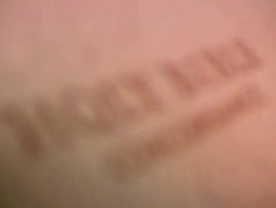 HD 1080i Holy Bible Stock Footage