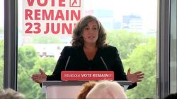Shadow Health Secretary Heidi Alexander makes speech at Labour Vote Remain event News Clip