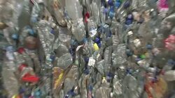 UAE WORKING TO IMPROVE GREEN CREDENTIALS News Clip