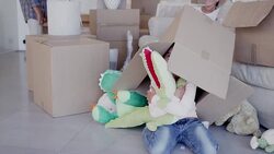 Portrait of smiling girl hugging stuffed alligator under moving box Stock Footage