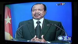 CLEAN : Cameroon army celebrates victories in Boko Haram fight News Clip