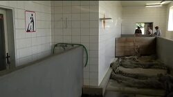 Farm crocodiles face slaughter as owner can't afford to keep them News Clip