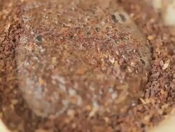 Coffee Drip Roaster Stock Footage