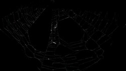 Spider web Stock Footage
