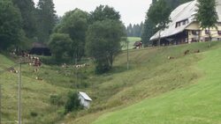 Pinning down the source of Europe's second largest river Instructional Video