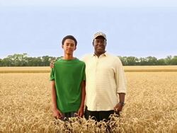 MS DS Farmer and Grandson Standing in Field of Wheat / Oyster, Virginia, USA Stock Footage