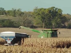 A combine full of harvested corn drives away from camera and unloads the crop into a wagon. Stock Footage
