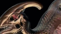 A Parasaurolophus stands in a rainy forest: a 3D animation depicts the auditory cortex of a Parasaurolophus. Stock Footage