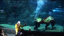 Divers perform underwater dragon dance ahead of lunar New Year Instructional Video