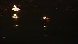 Diyas flicker as they float along a river during India's Diwali celebration. Stock Footage