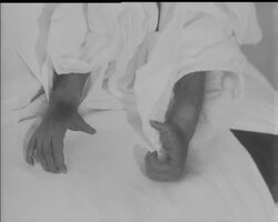 KAMA - ORANG-UTAN News Clip