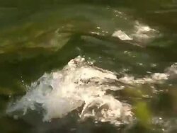 Running water 8-59: HD 1080/60i Stock Footage