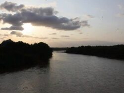 Tana River Stock Footage