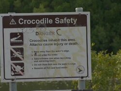 Crocodile safety notice Stock Footage