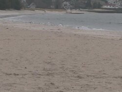 Cold beach 2 - HD 1080/30F Stock Footage