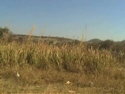 CLEAN: DRC Children quitting school to work in mines News Clip