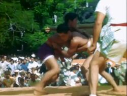Sumo Wrestling Stock Footage