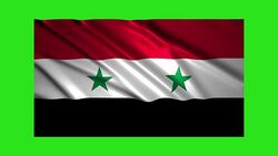 Syria flag waving,loopable on green screen Stock Footage