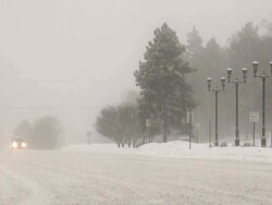 Winter snowstorm. Car traffic on slippery road. Stock Footage