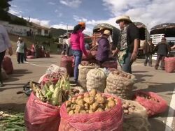 Woman selling potatoes and vegetables from sacks, Villa De Leyva market, Villa De Leyva, BoyacÃƒÂ¡ department, Colombia Stock Footage