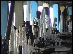 Elephants are now being targeted for their meat, and not just ivory. The market is Africa, where elephant meat is considered a delicacy and commands higher prices. News Clip