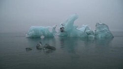 floating Iceberg bits, Svalbard, Norway 1 Stock Footage