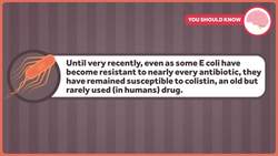 Antibiotics and Resistance Instructional Video