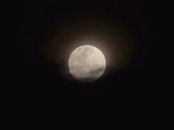 Full moon rising Time-lapse Stock Footage