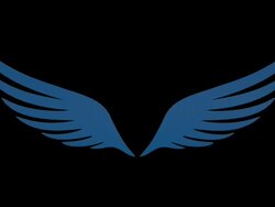 Rotating Wing logo Stock Footage