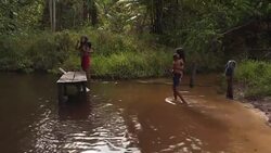 CLEAN : Brazil: The indigenous Waiapi from the Amazon (Stockshots) News Clip