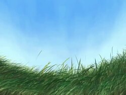 Affectionate Wind PAL Stock Footage