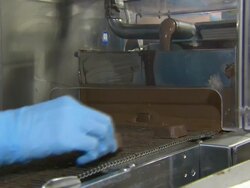 Chocolate Factory Production Line News Clip