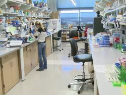 Ebola Protein Lab Stock Footage