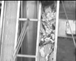 HARVEST OF THE SEA News Clip