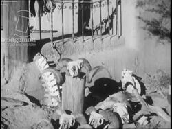 New Mexico c.1950. Georgia O'Keeffe at home and in her studio. Stock Footage