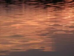 Summer Reflections Stock Footage