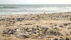 polluted beach with plastic bottles Stock Footage