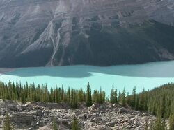 WS  PAN View of Peyto Lake / Lake Louise, Alberta, Canada   Stock Footage