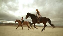 (Slow Motion) Riding Horses in the Dessert 08 Stock Footage