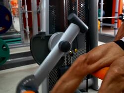 Body builder - Back extension Stock Footage