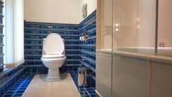 Toilet Stock Footage