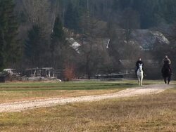 HD: Horseriding In Nature Stock Footage