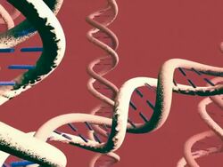 several DNA helices drifting in solution [002] Stock Footage