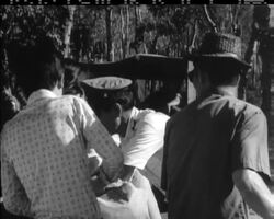 VIETNAM 'NEW YEAR' CELEBRATION News Clip