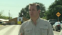 Ted Cruz addresses the media about the Sutherland Springs church shooting News Clip